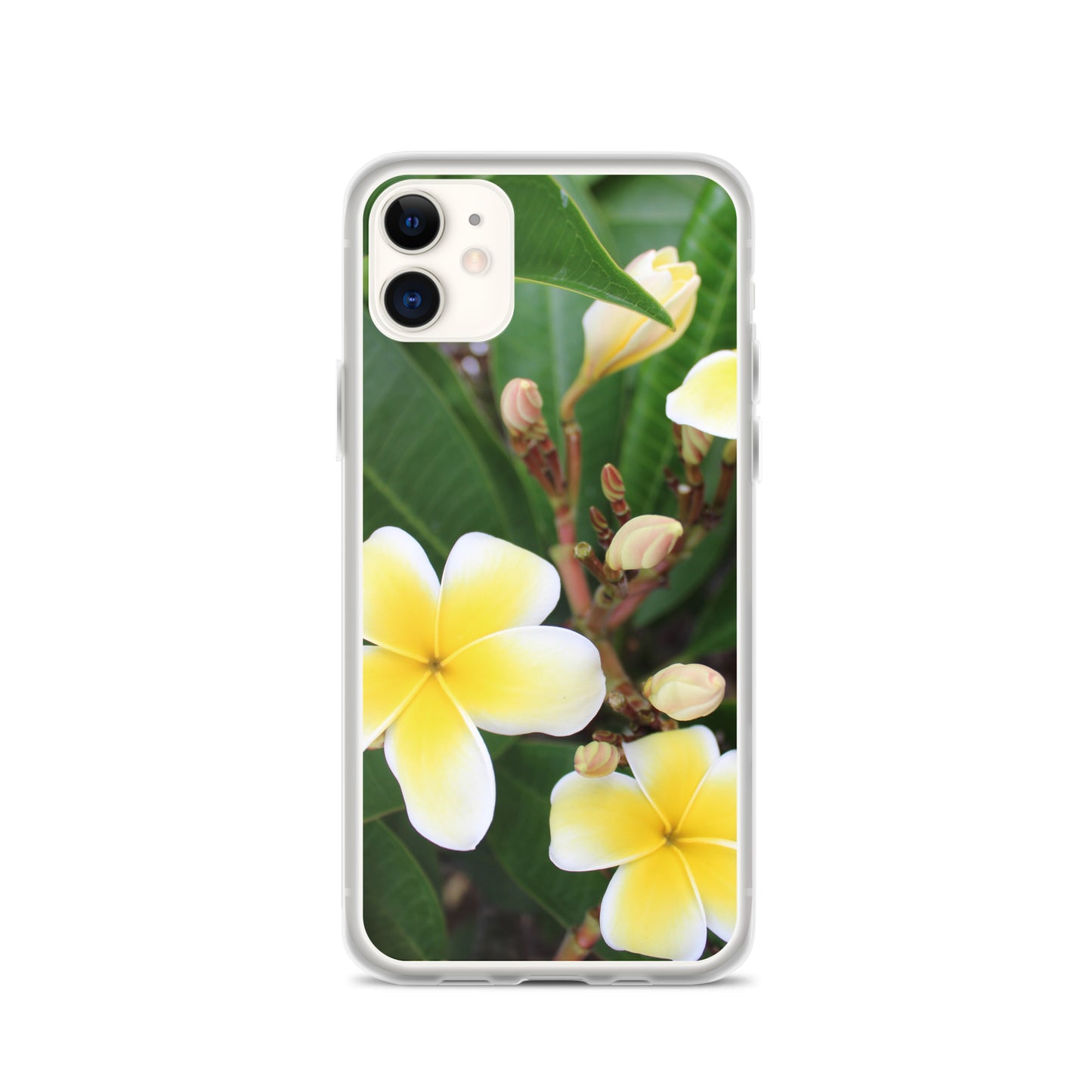 Plumeria Clear Case for iPhone®