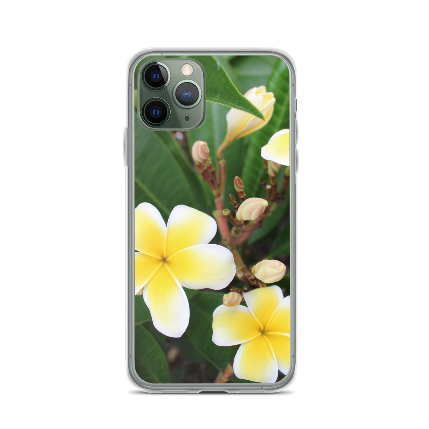 Plumeria Clear Case for iPhone®