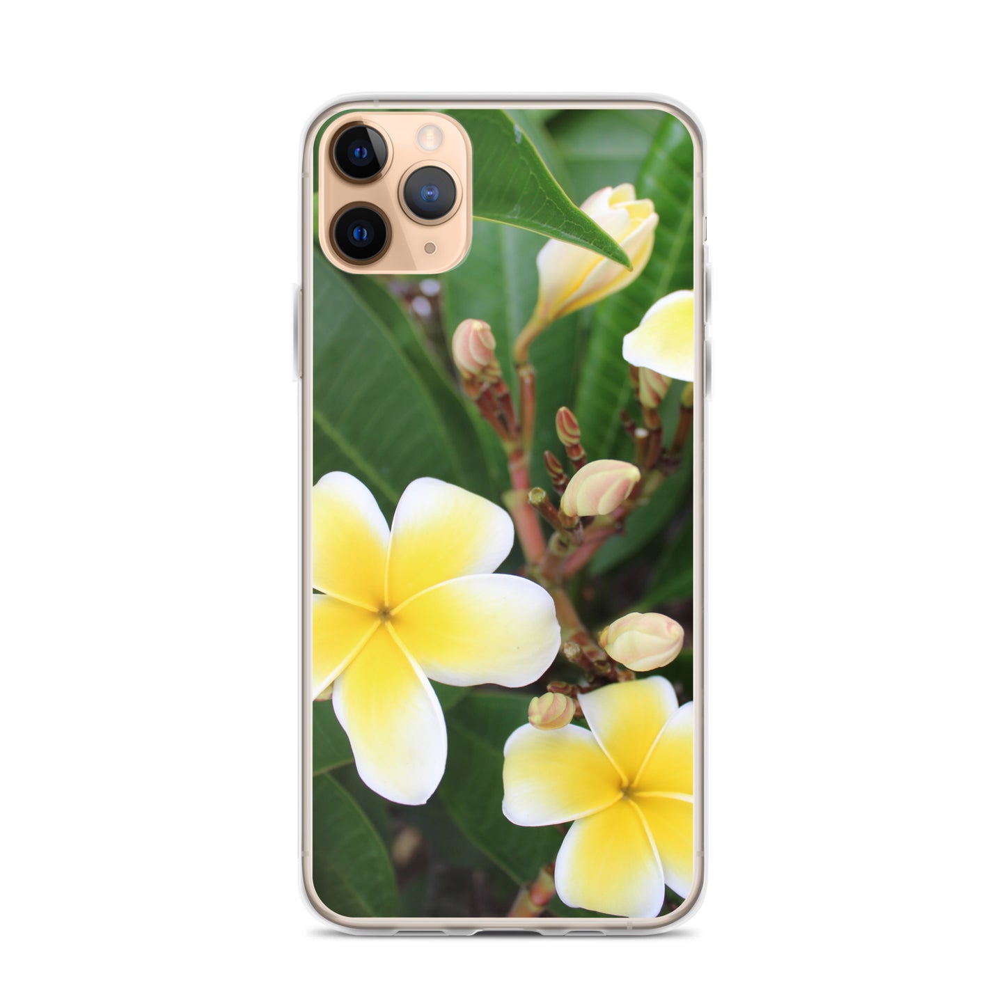 Plumeria Clear Case for iPhone®