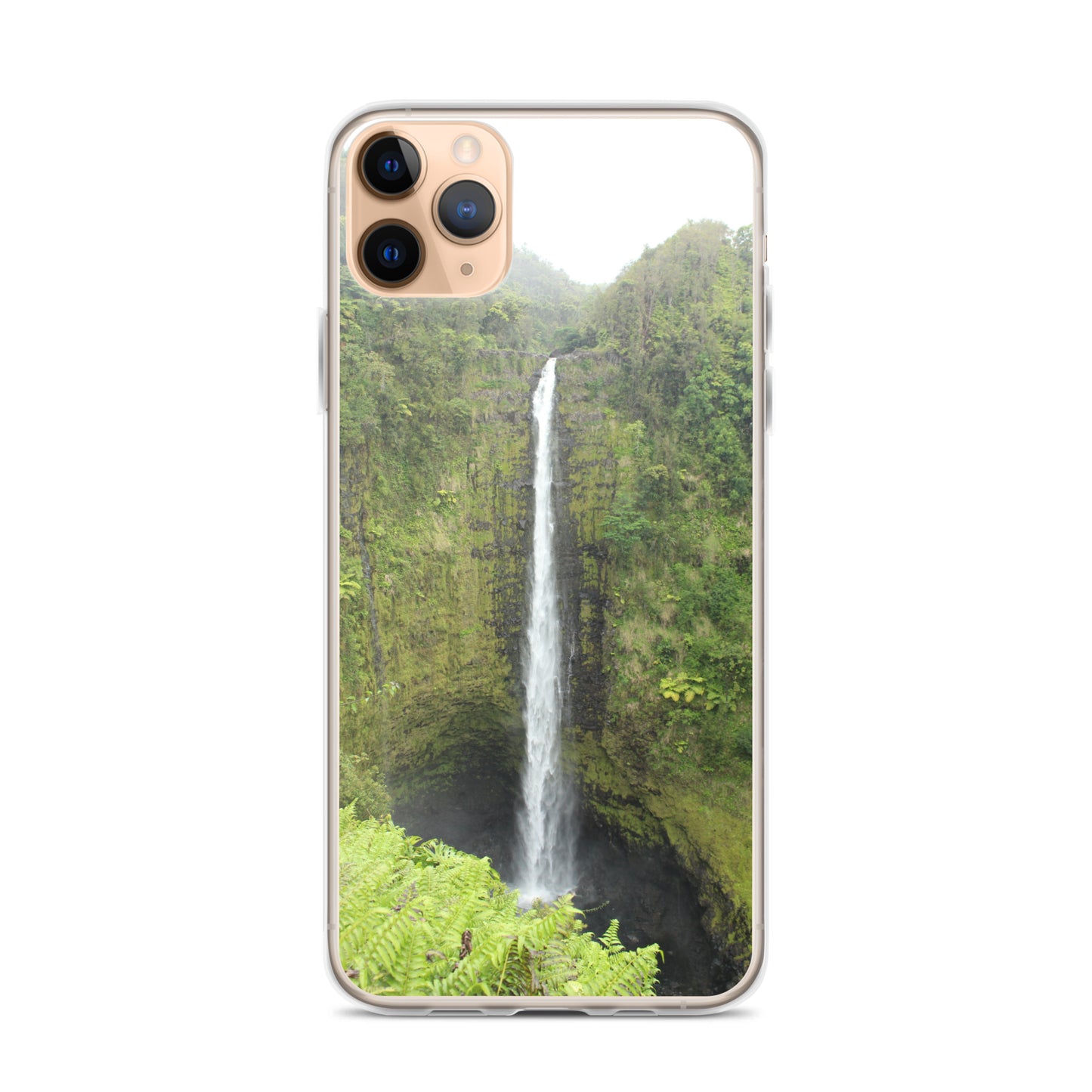 Akaka Falls Clear Case for iPhone®