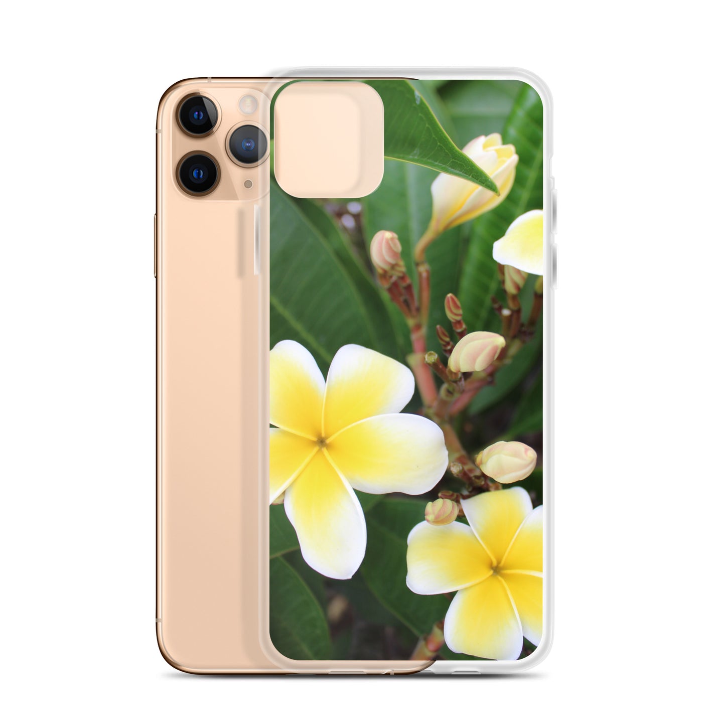 Plumeria Clear Case for iPhone®