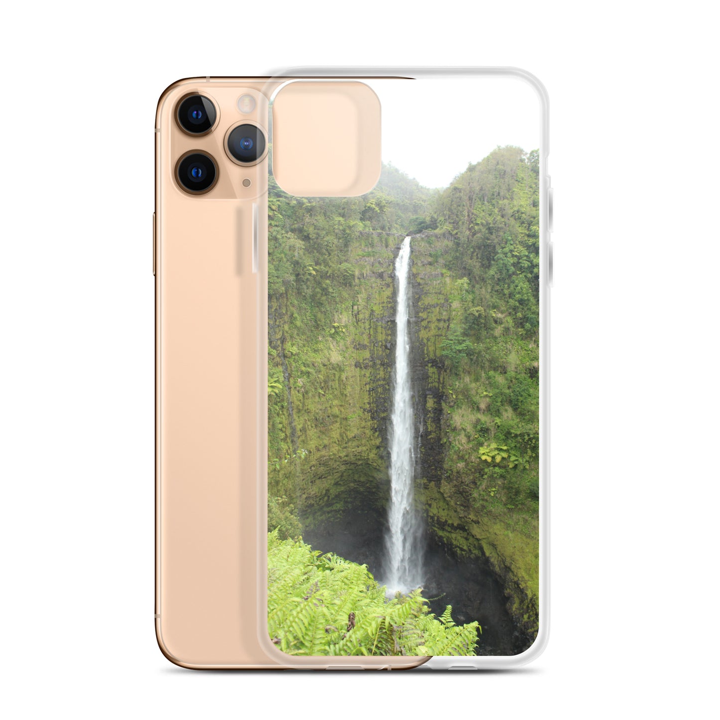 Akaka Falls Clear Case for iPhone®