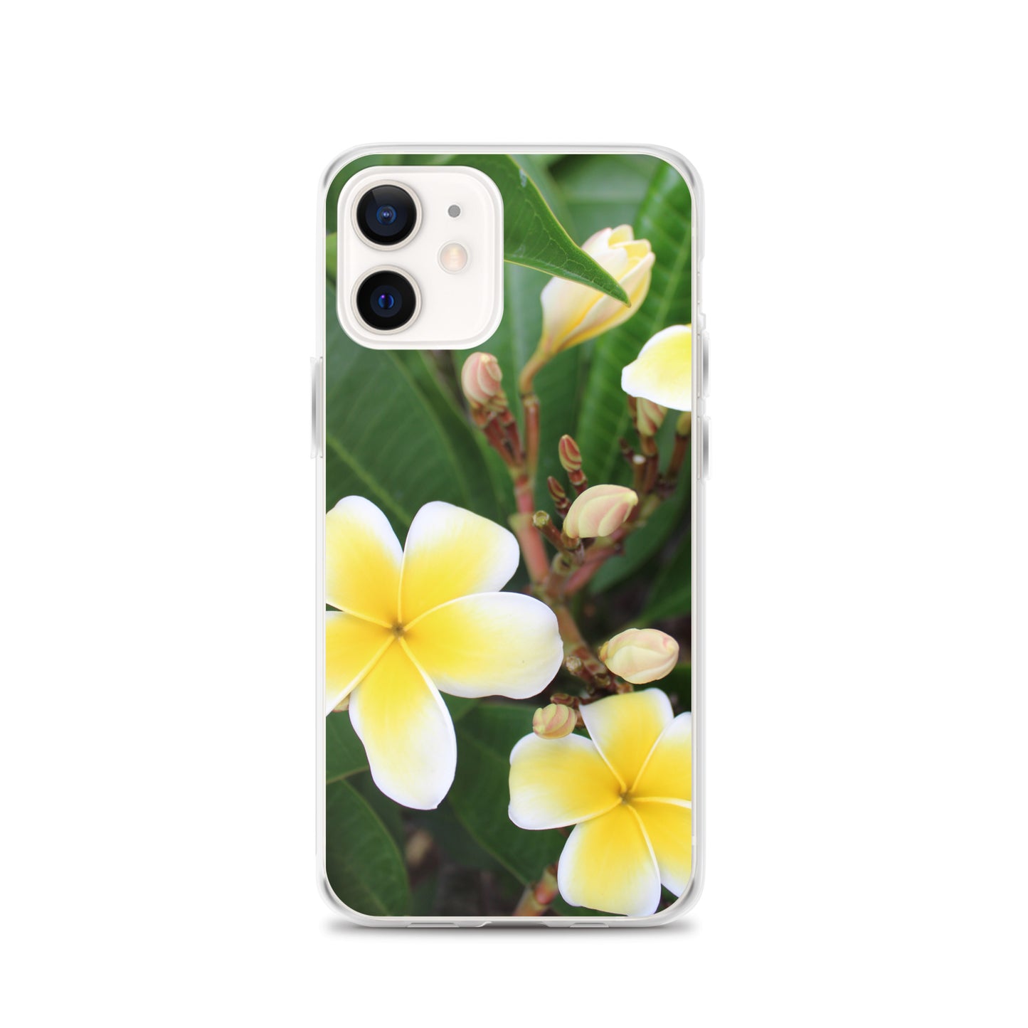 Plumeria Clear Case for iPhone®