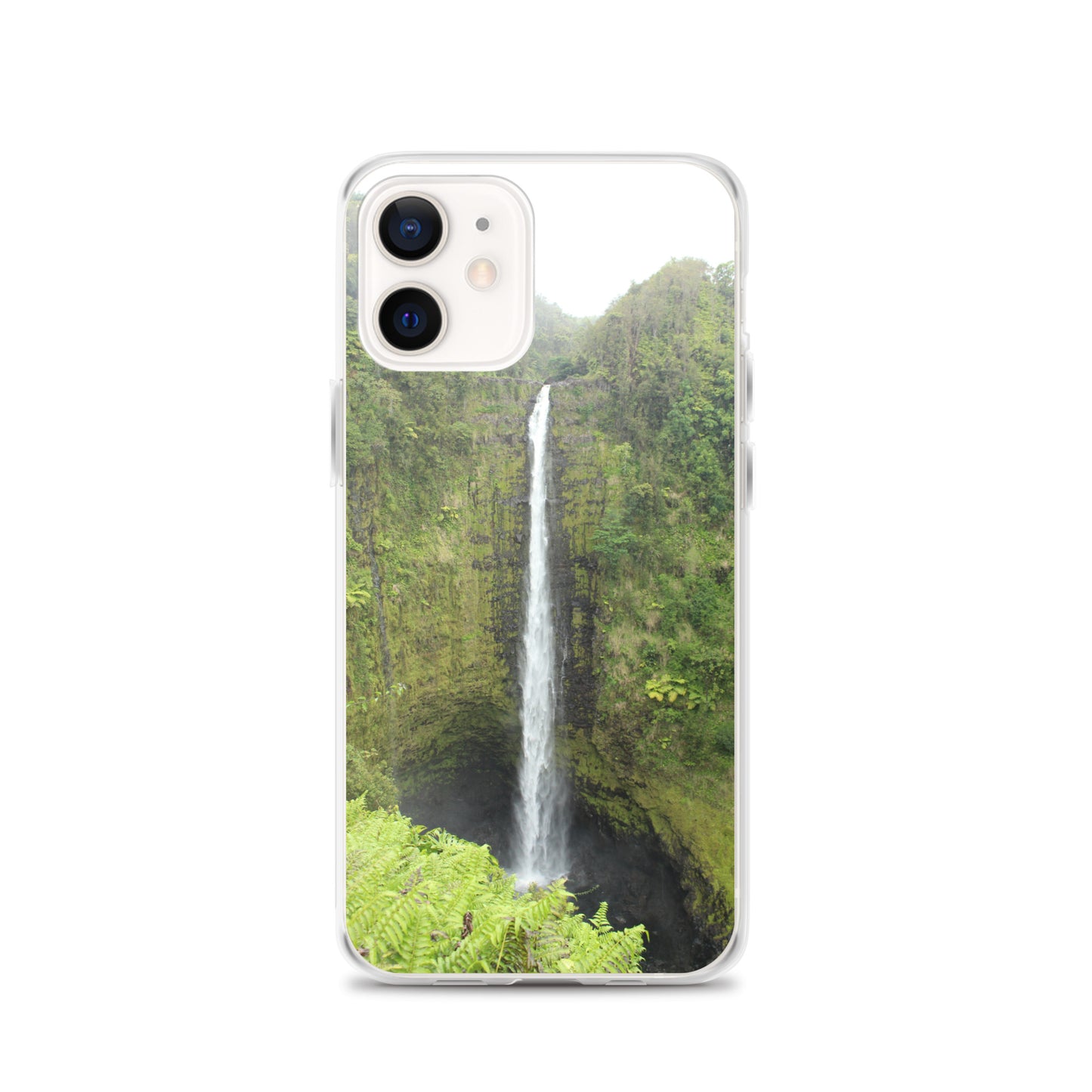 Akaka Falls Clear Case for iPhone®