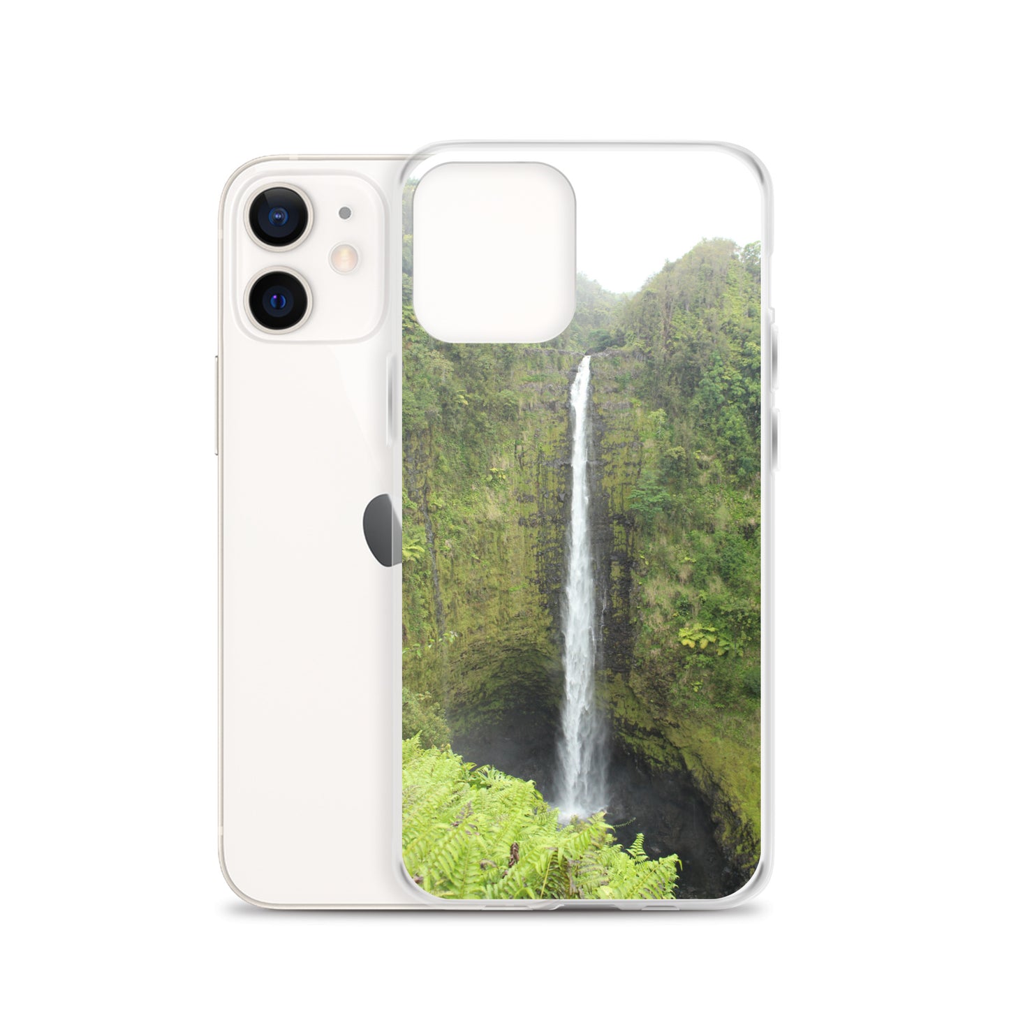 Akaka Falls Clear Case for iPhone®