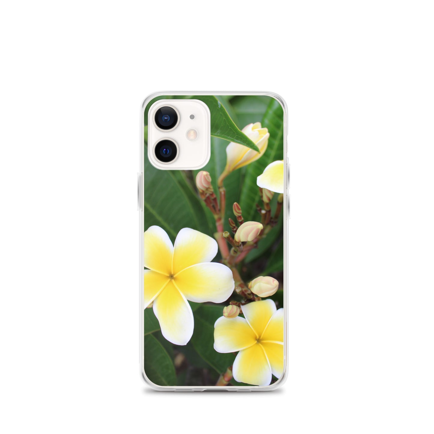 Plumeria Clear Case for iPhone®