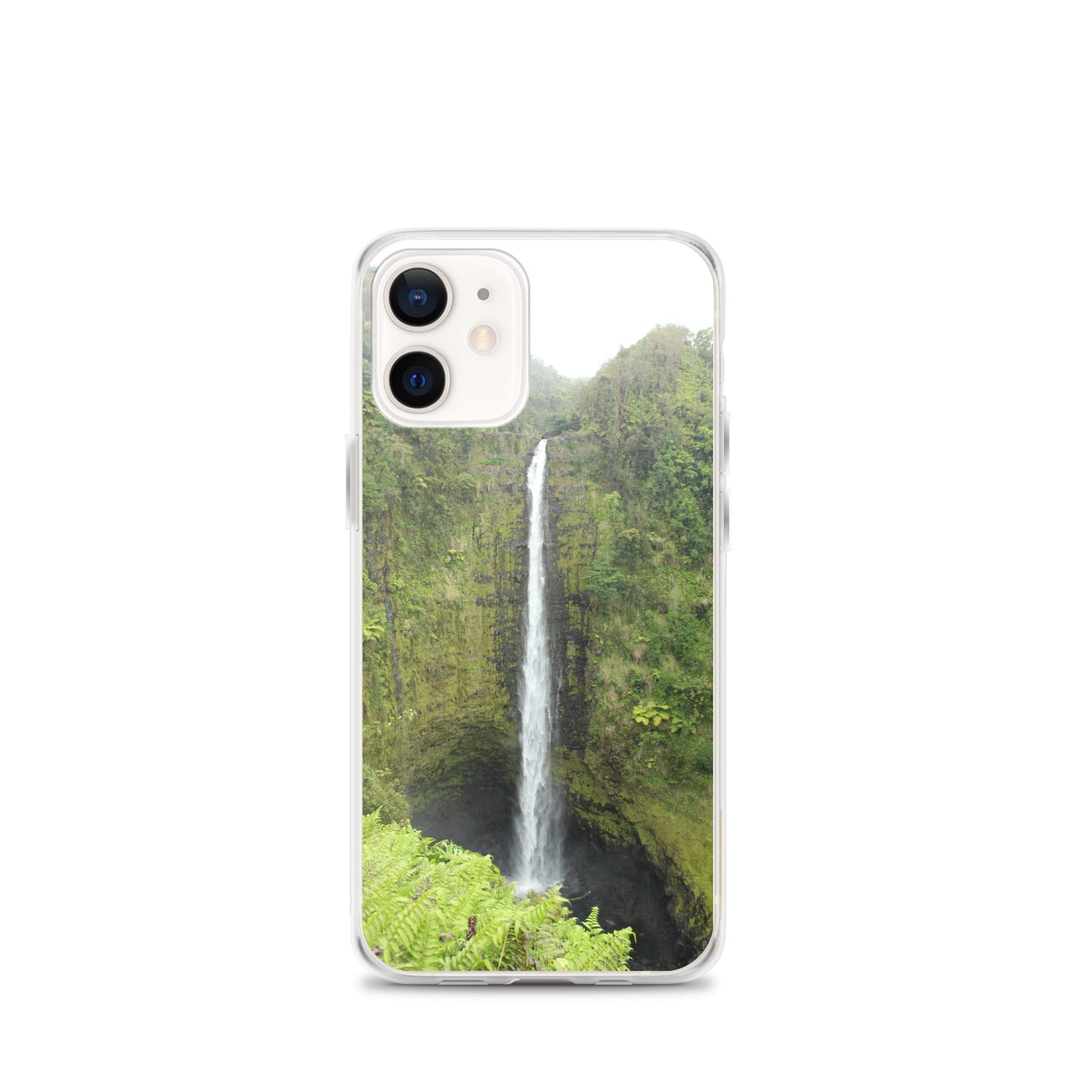 Akaka Falls Clear Case for iPhone®