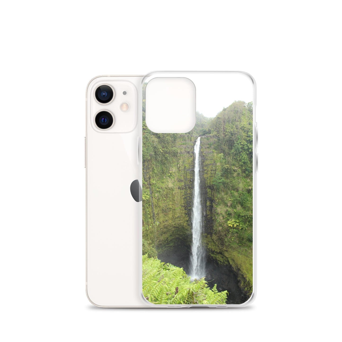 Akaka Falls Clear Case for iPhone®