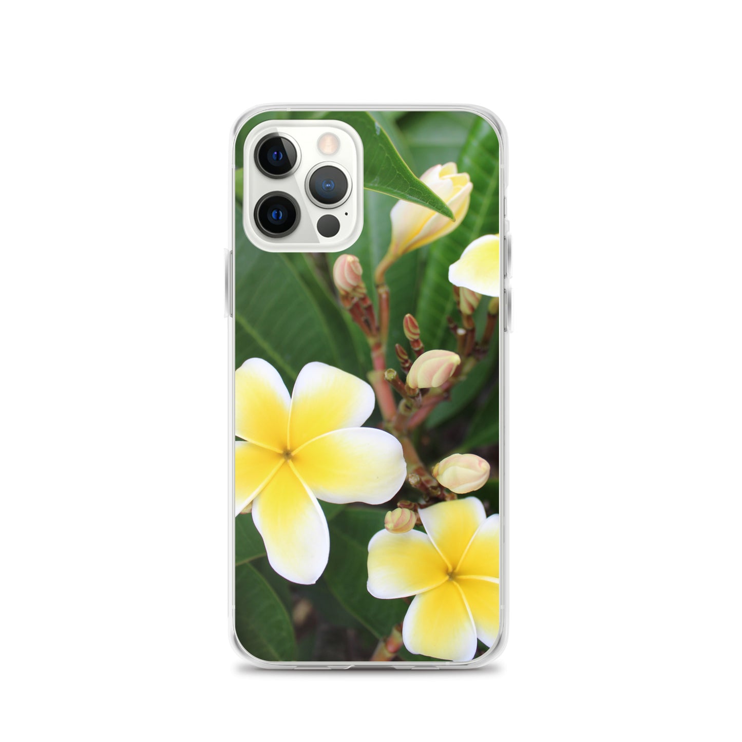 Plumeria Clear Case for iPhone®