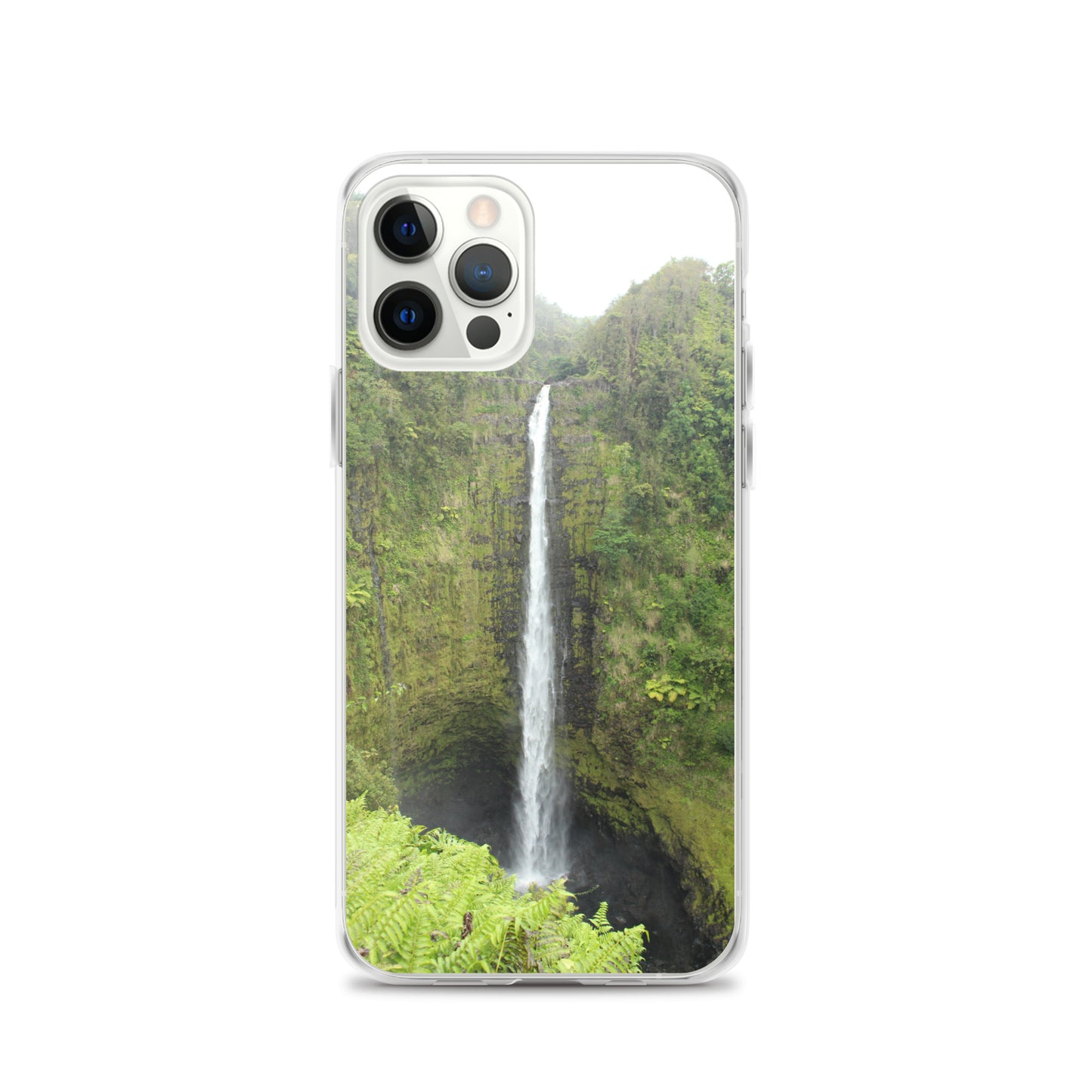 Akaka Falls Clear Case for iPhone®