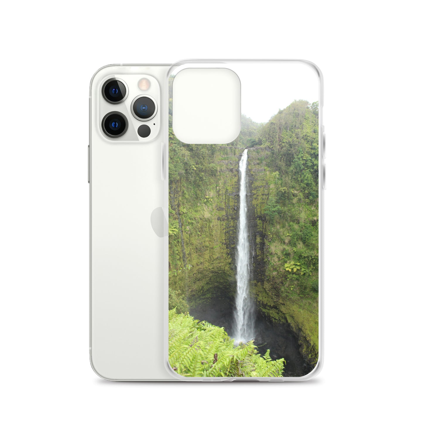 Akaka Falls Clear Case for iPhone®