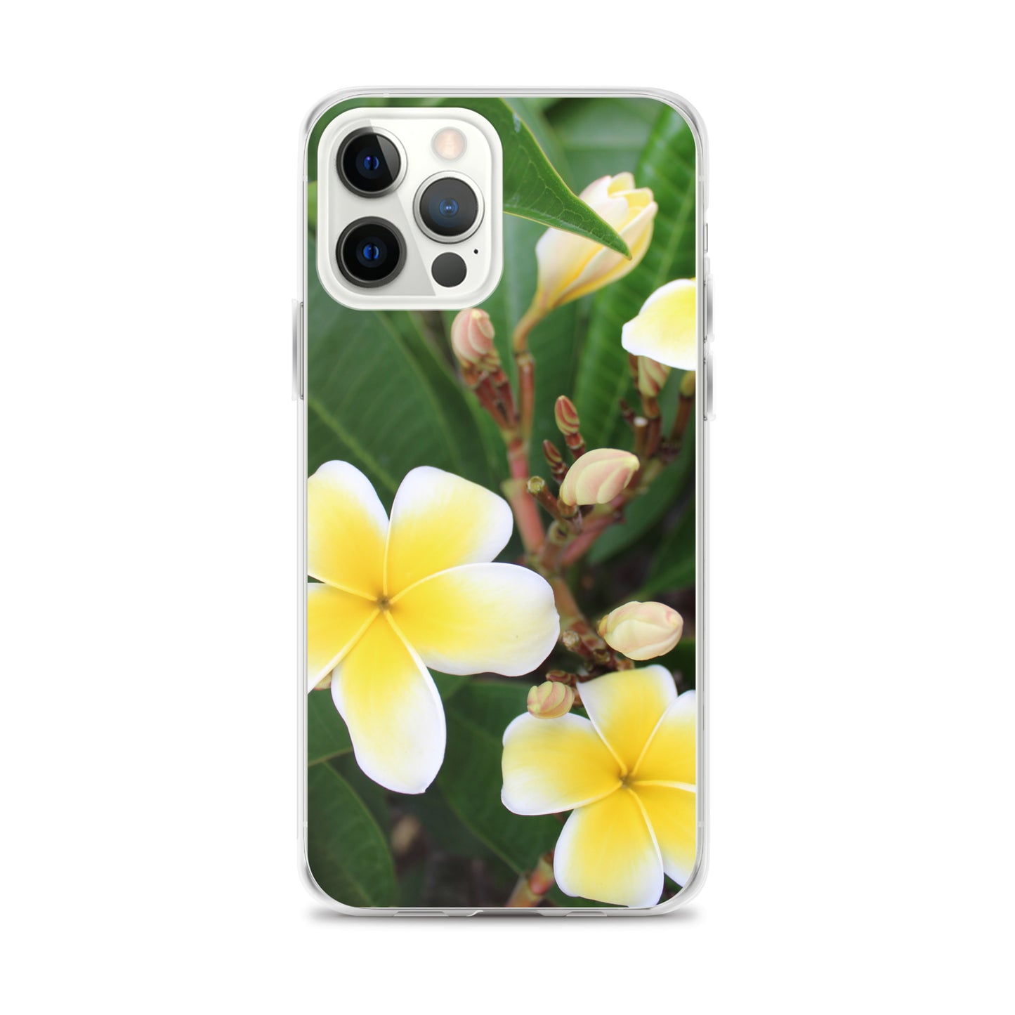 Plumeria Clear Case for iPhone®