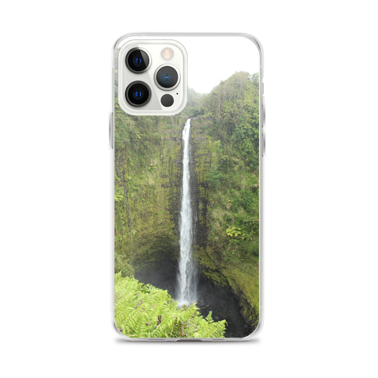 Akaka Falls Clear Case for iPhone®