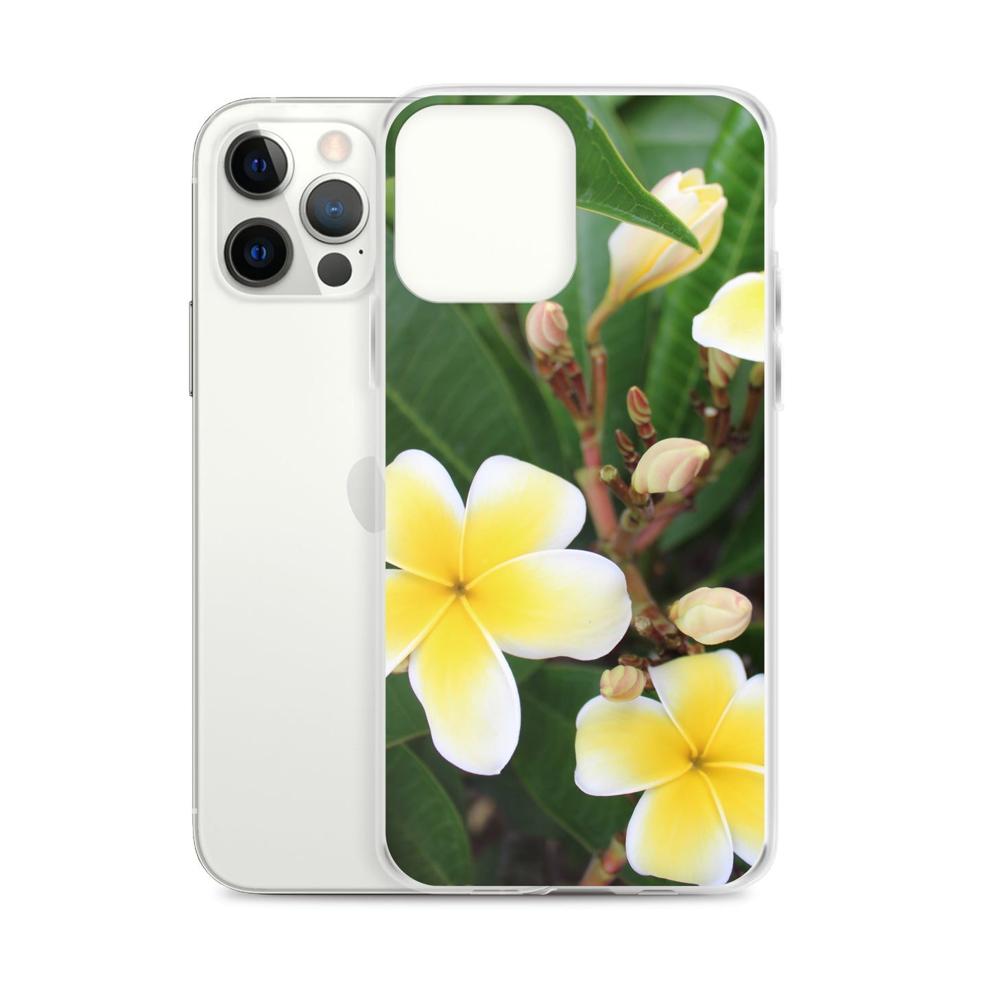 Plumeria Clear Case for iPhone®