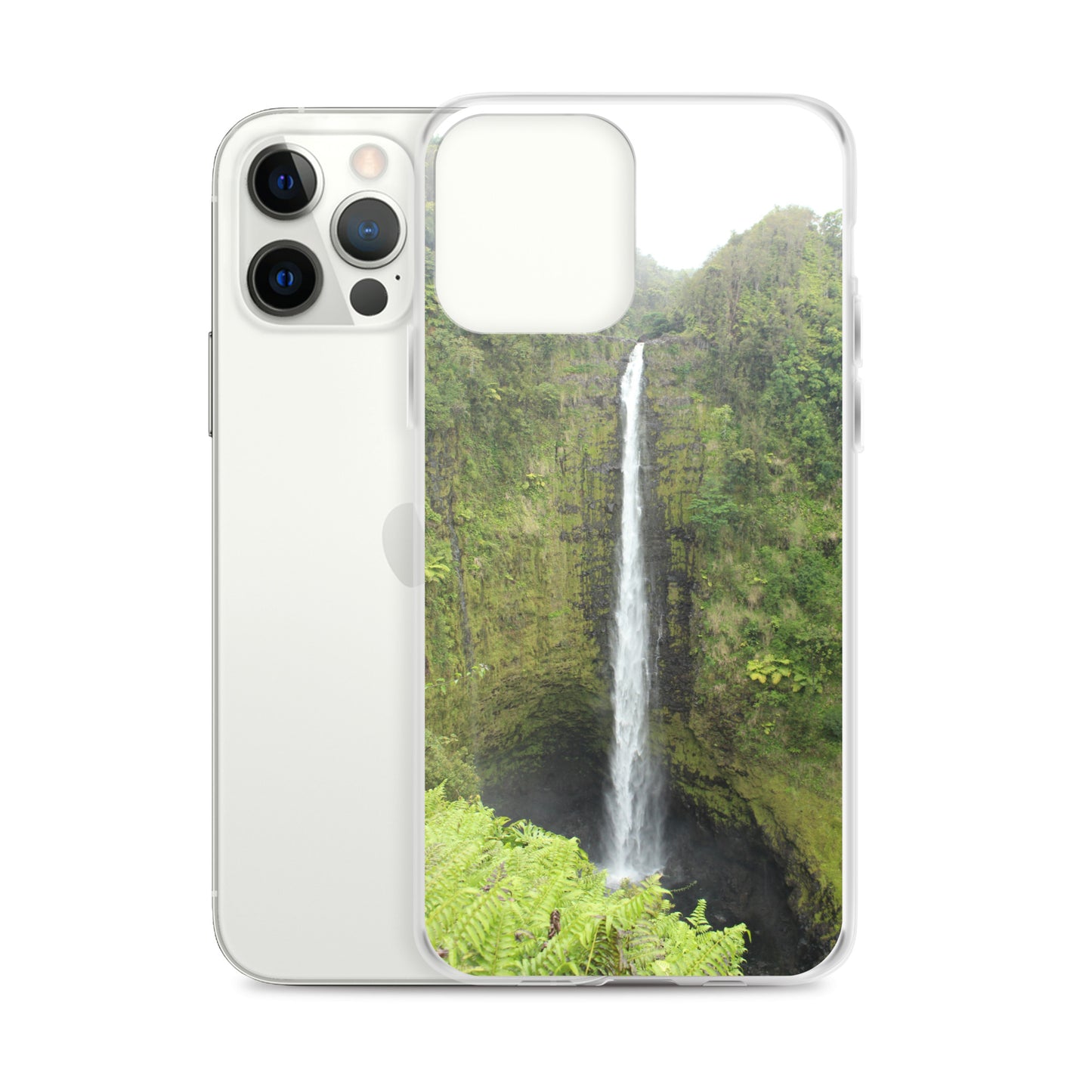 Akaka Falls Clear Case for iPhone®