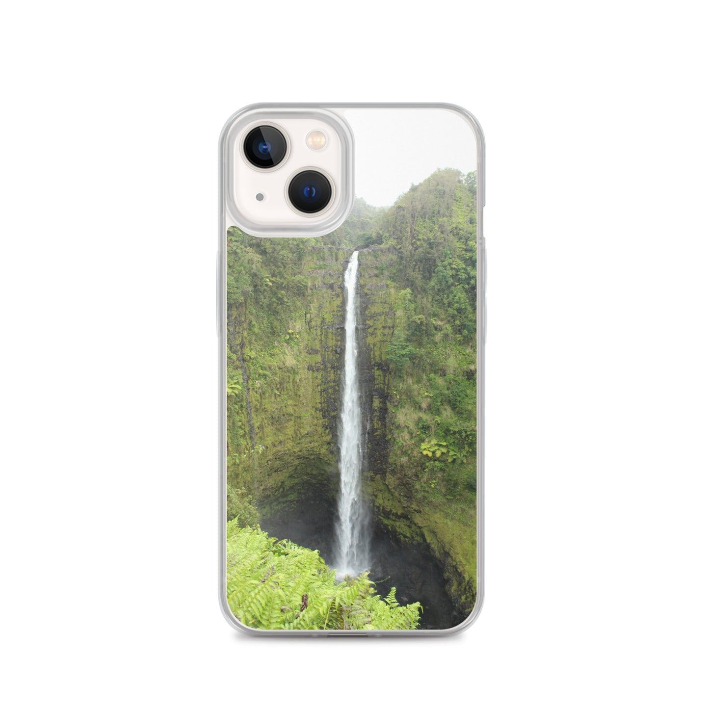 Akaka Falls Clear Case for iPhone®