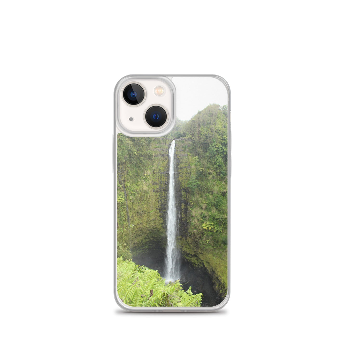 Akaka Falls Clear Case for iPhone®