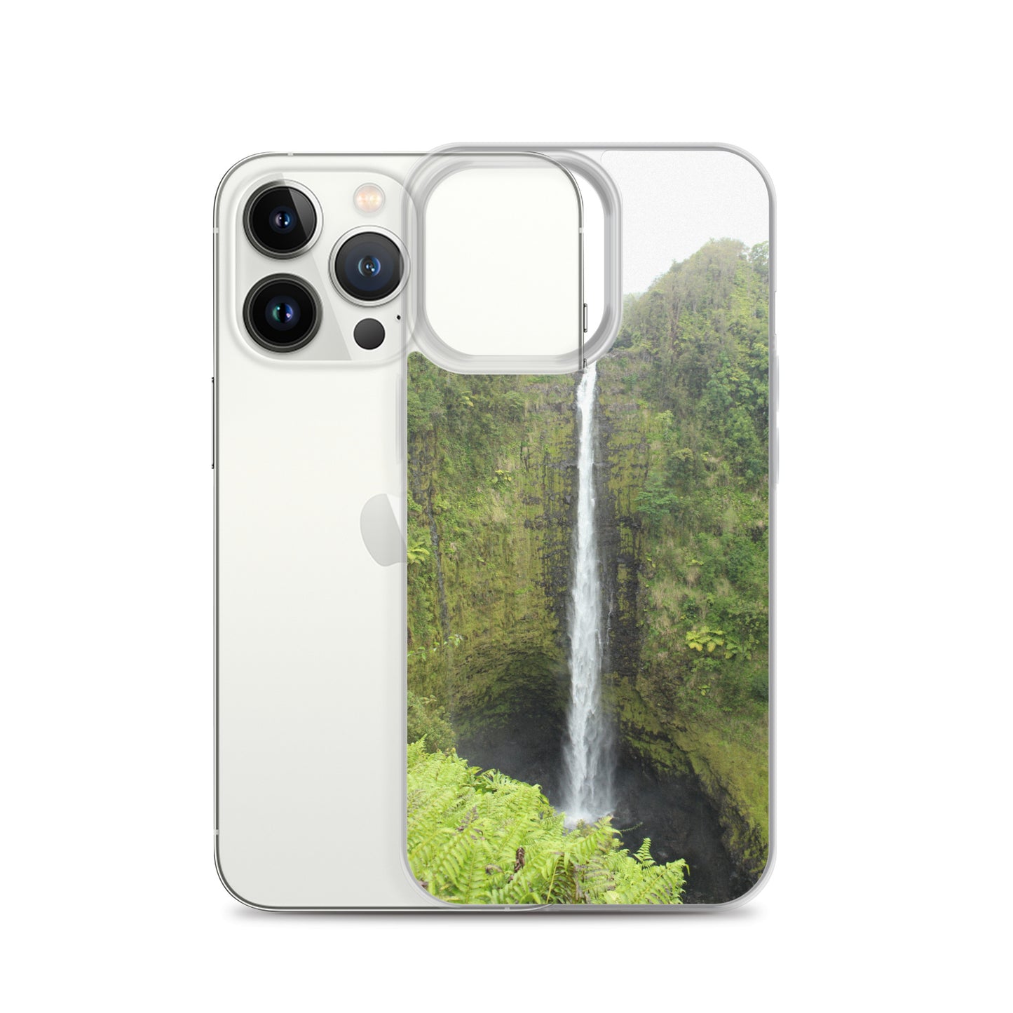 Akaka Falls Clear Case for iPhone®