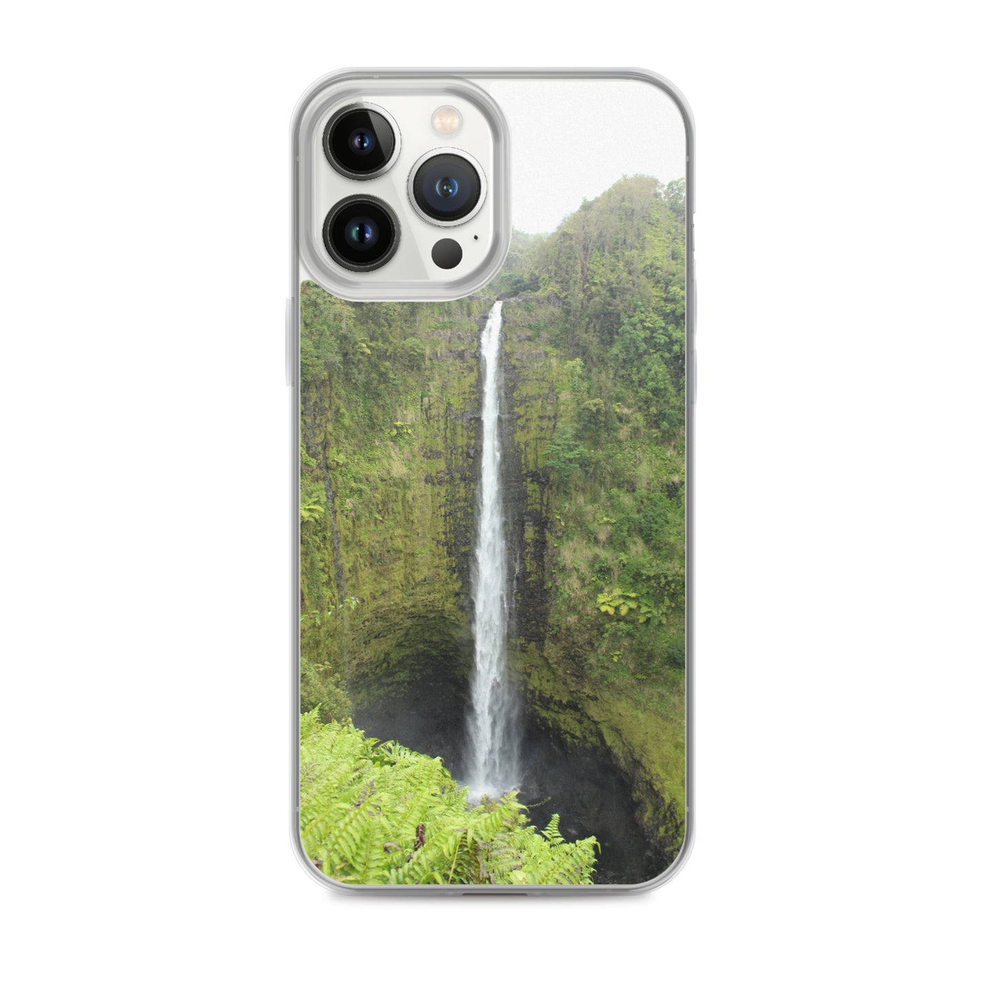 Akaka Falls Clear Case for iPhone®