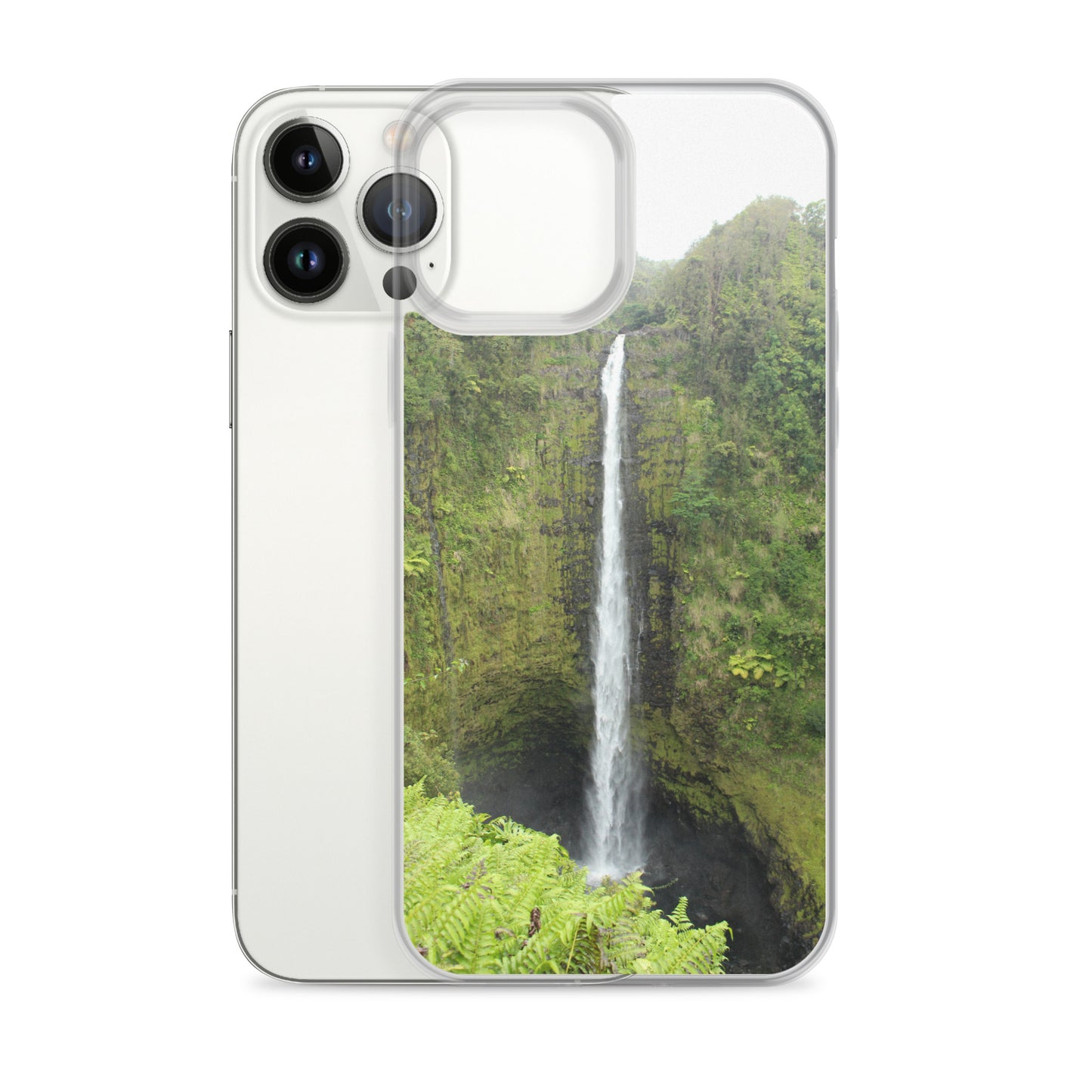 Akaka Falls Clear Case for iPhone®