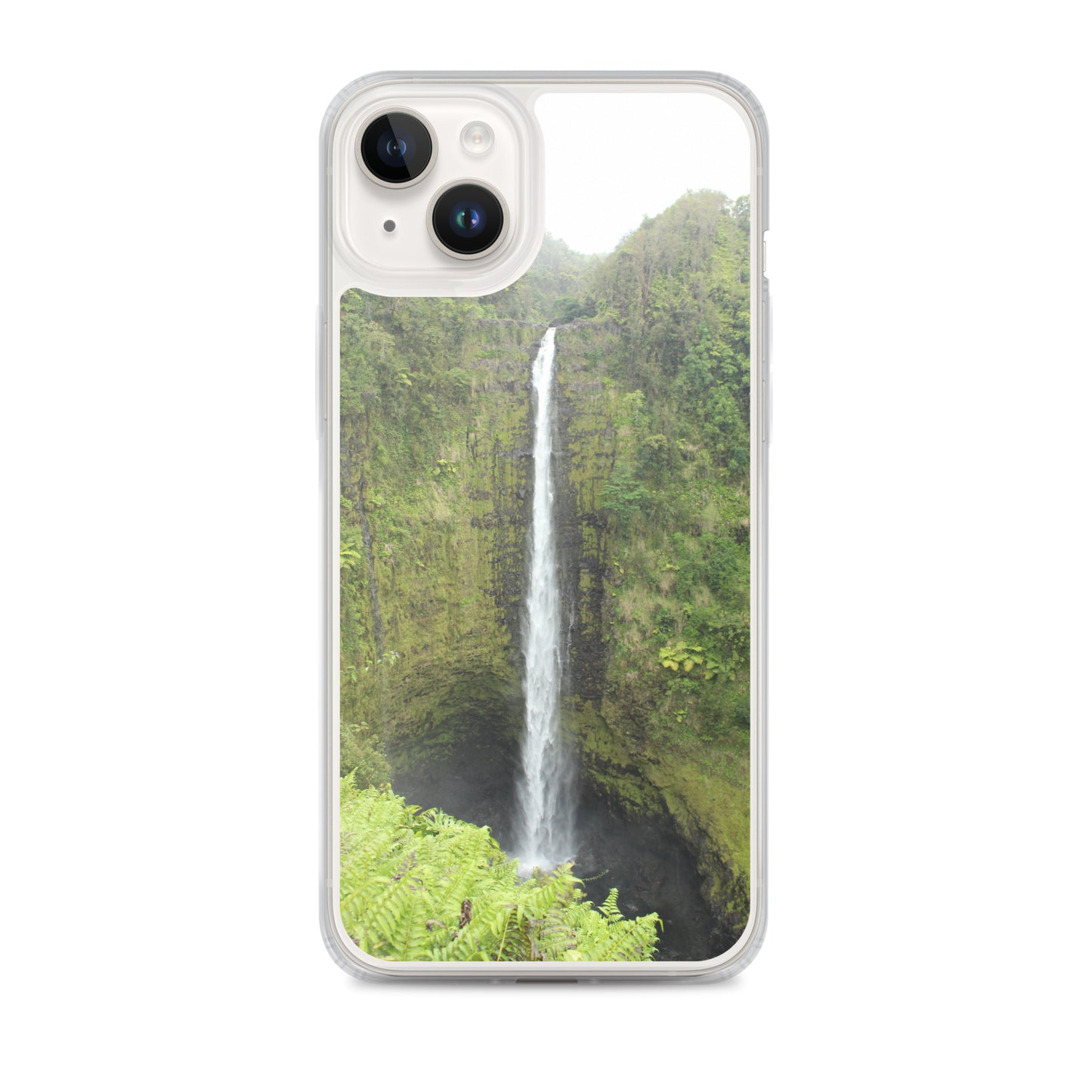 Akaka Falls Clear Case for iPhone®