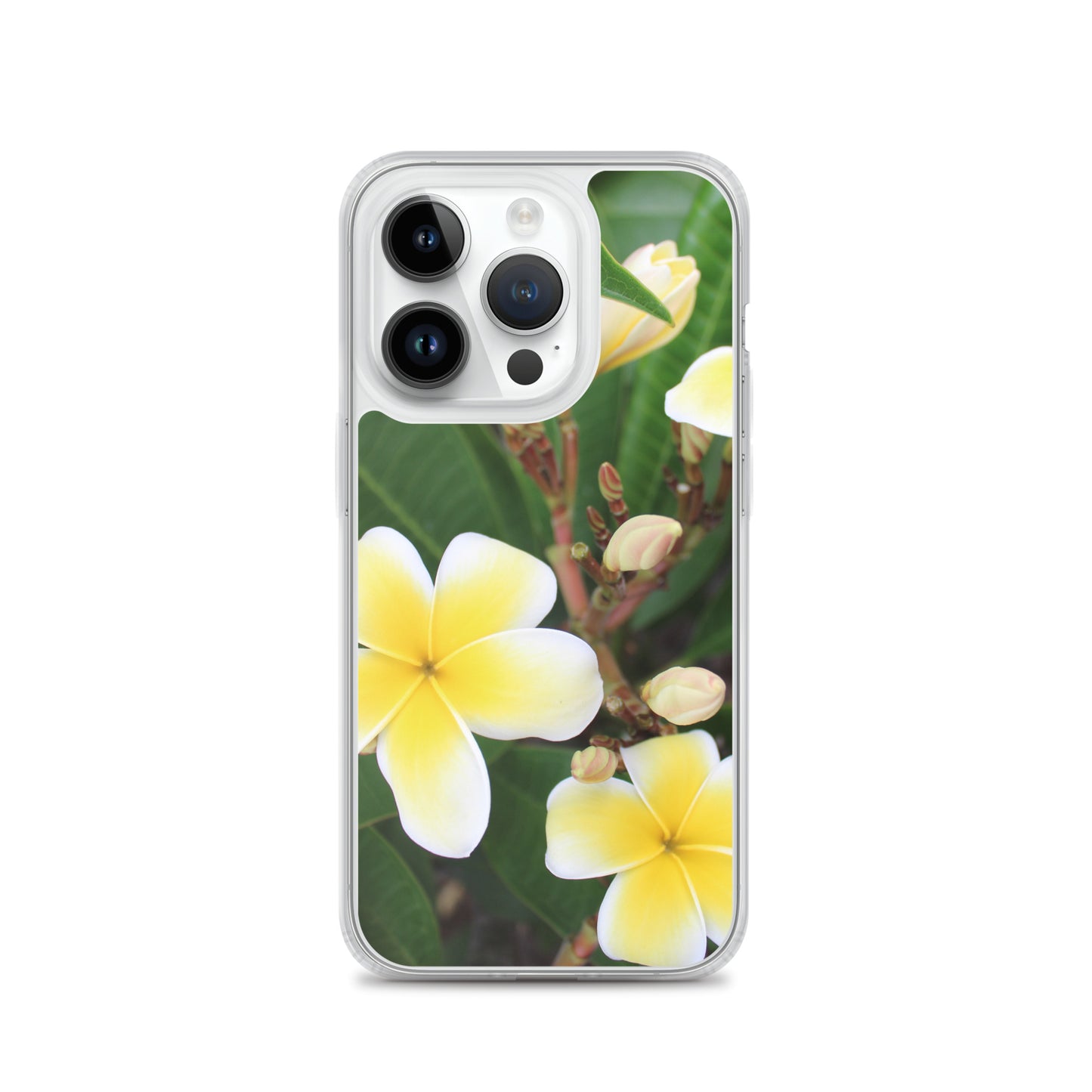 Plumeria Clear Case for iPhone®