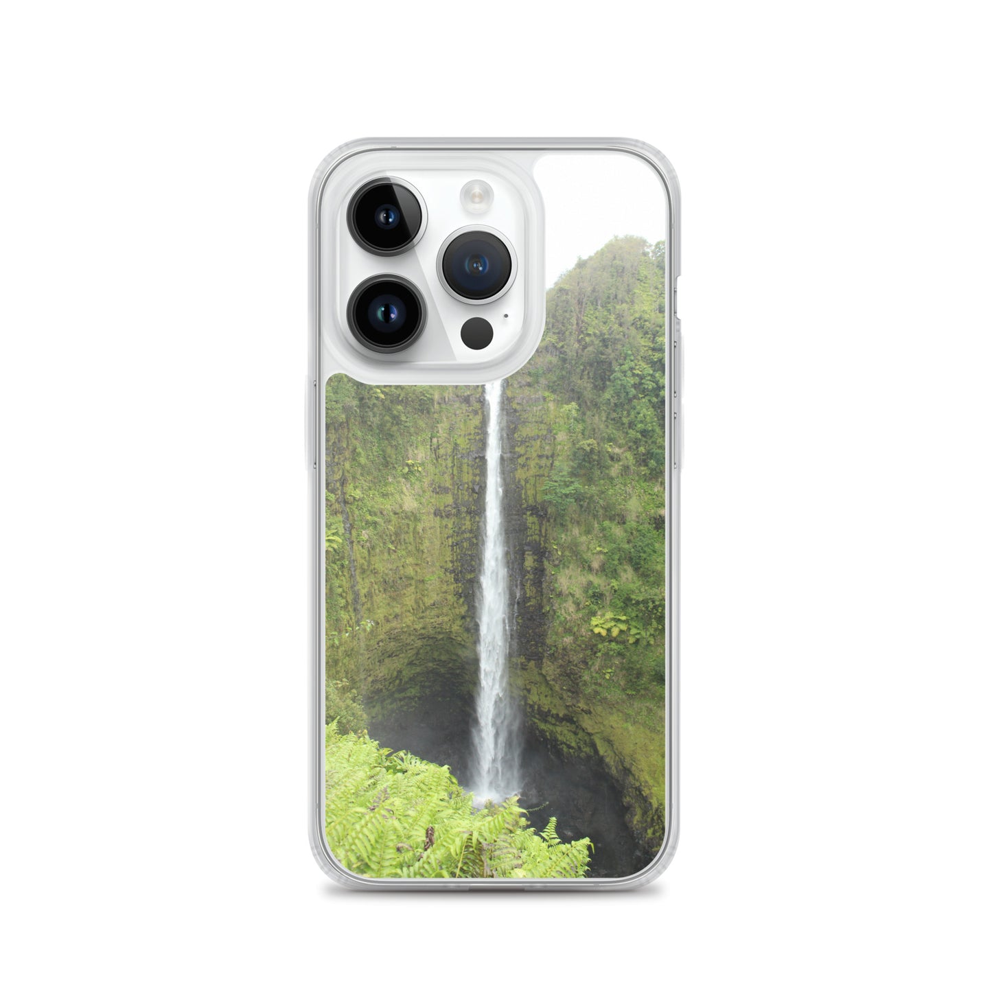 Akaka Falls Clear Case for iPhone®