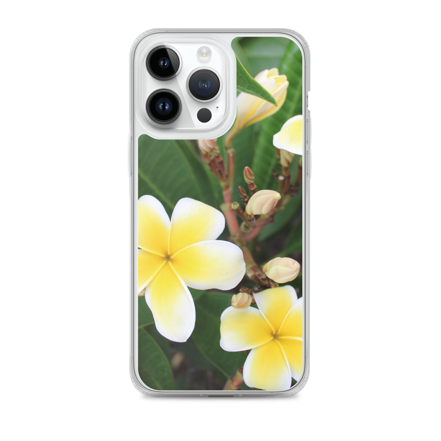 Plumeria Clear Case for iPhone®