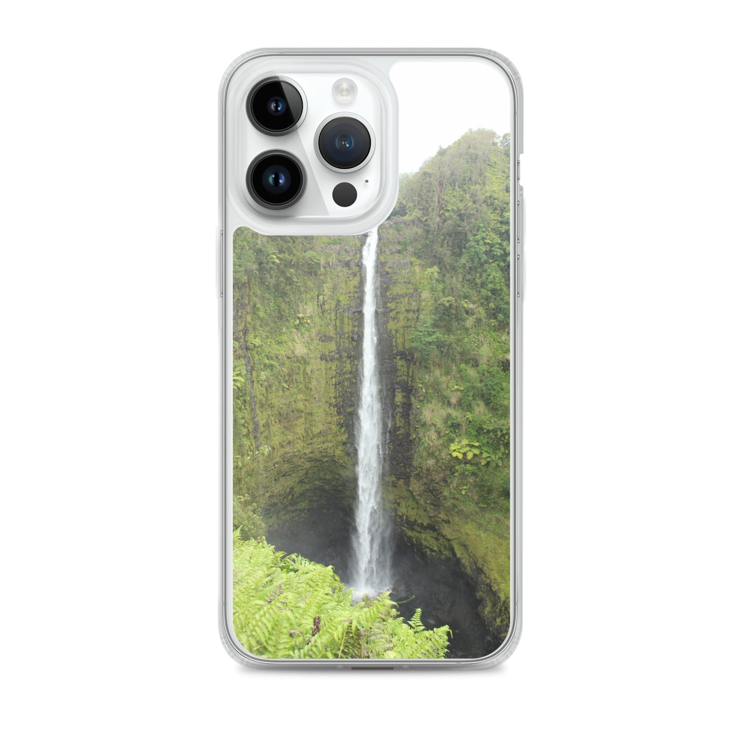 Akaka Falls Clear Case for iPhone®