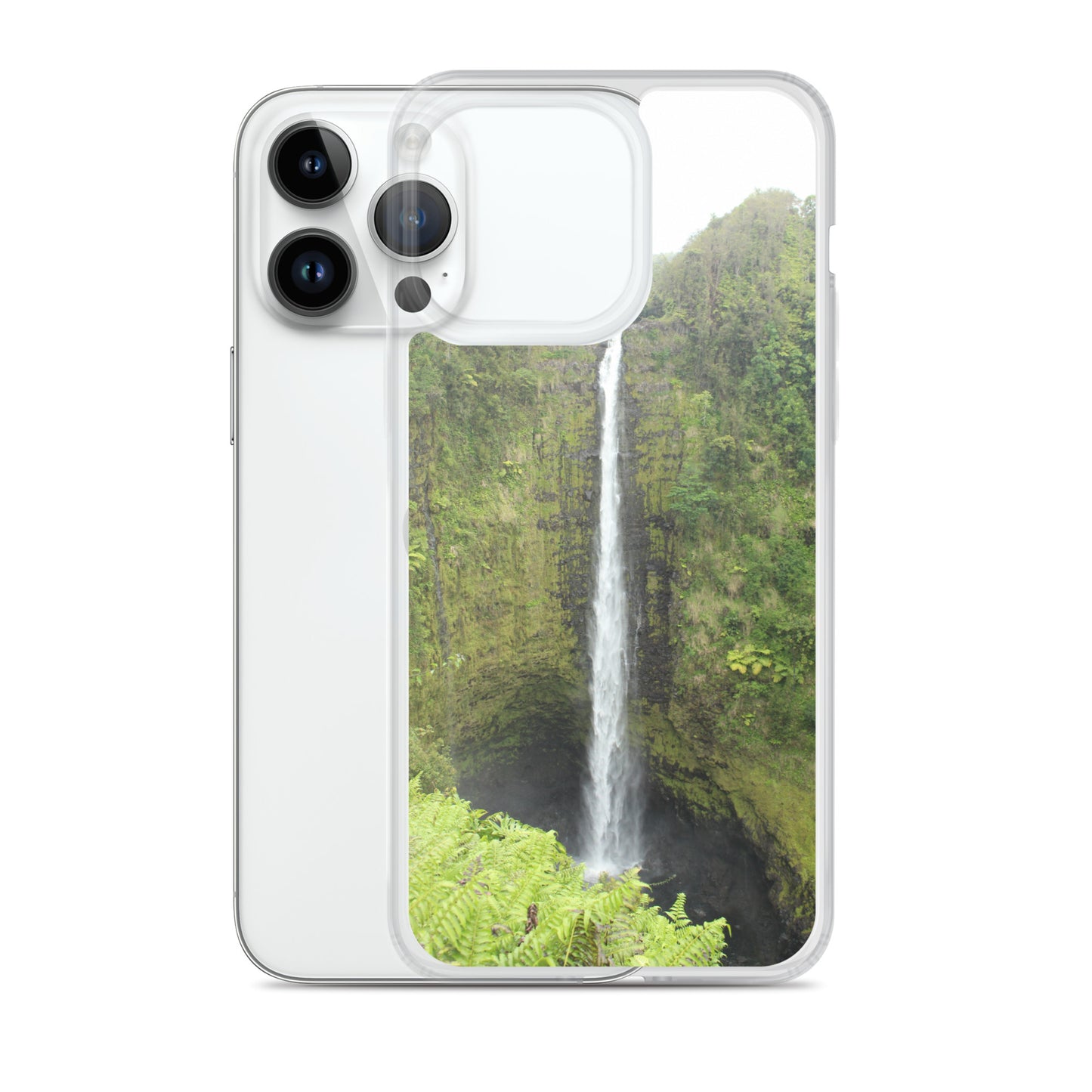 Akaka Falls Clear Case for iPhone®