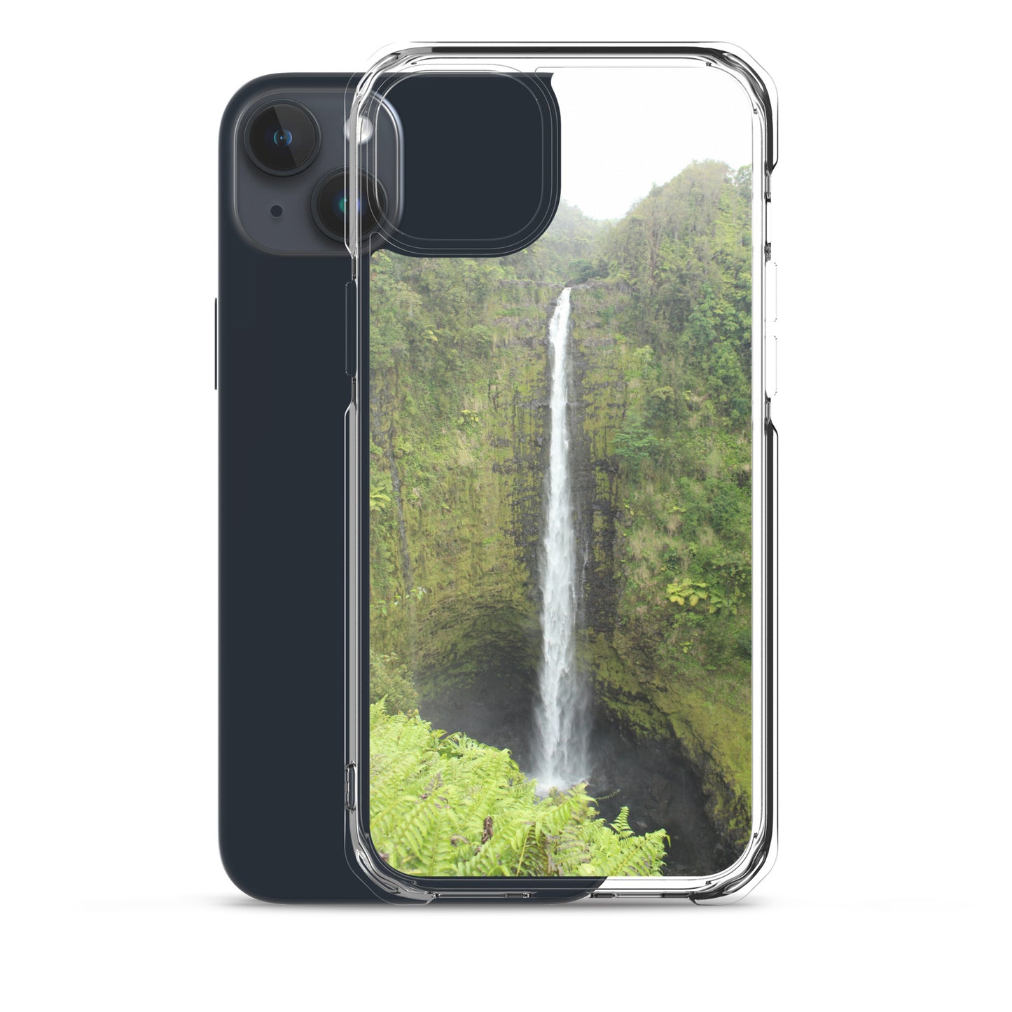 Akaka Falls Clear Case for iPhone®