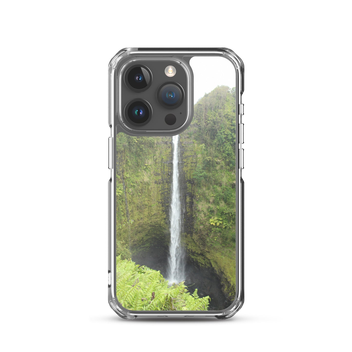 Akaka Falls Clear Case for iPhone®