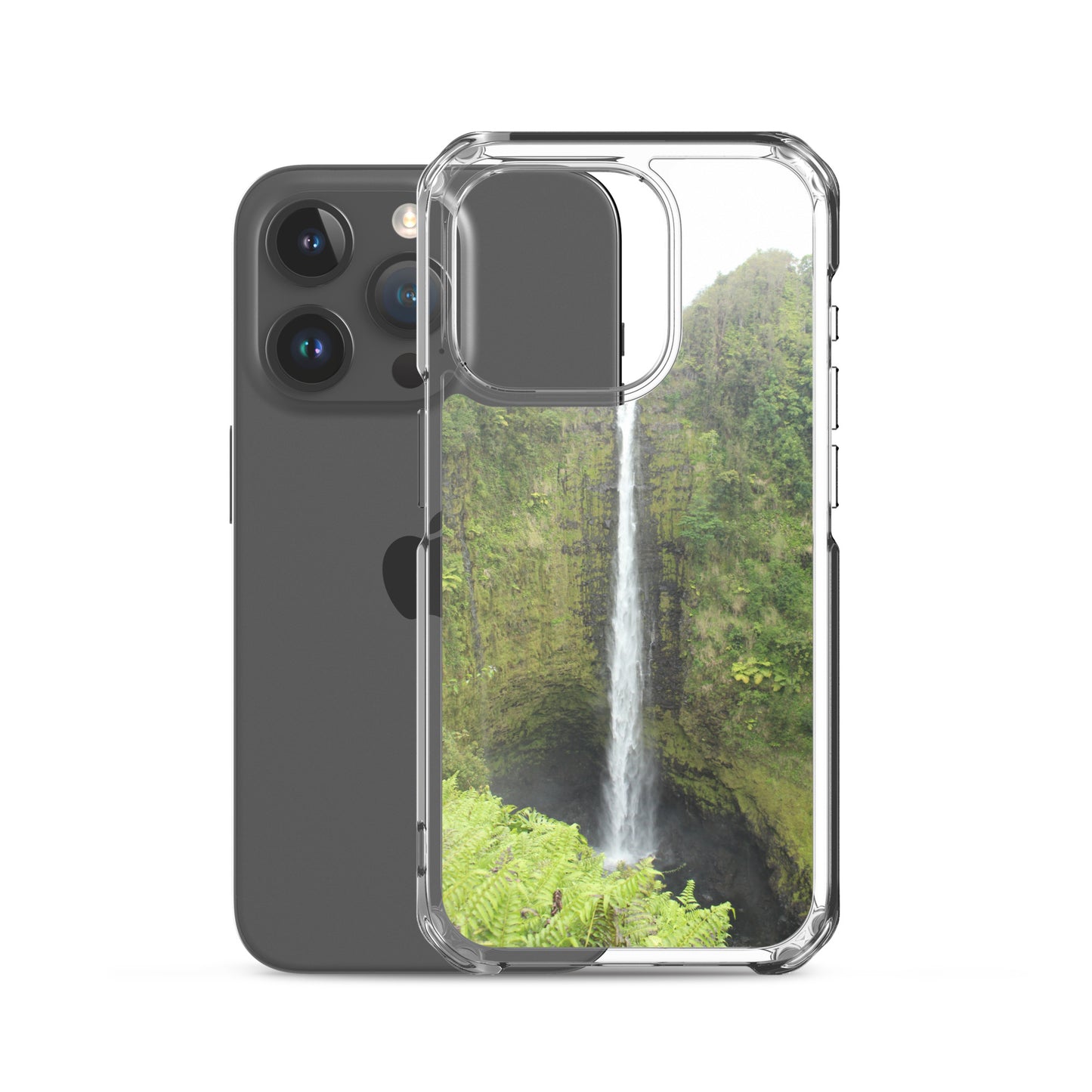 Akaka Falls Clear Case for iPhone®