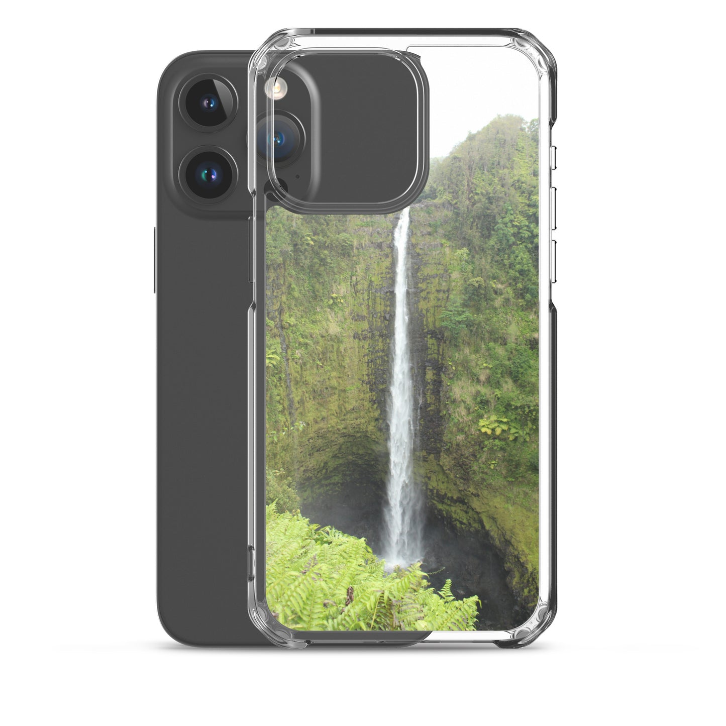 Akaka Falls Clear Case for iPhone®