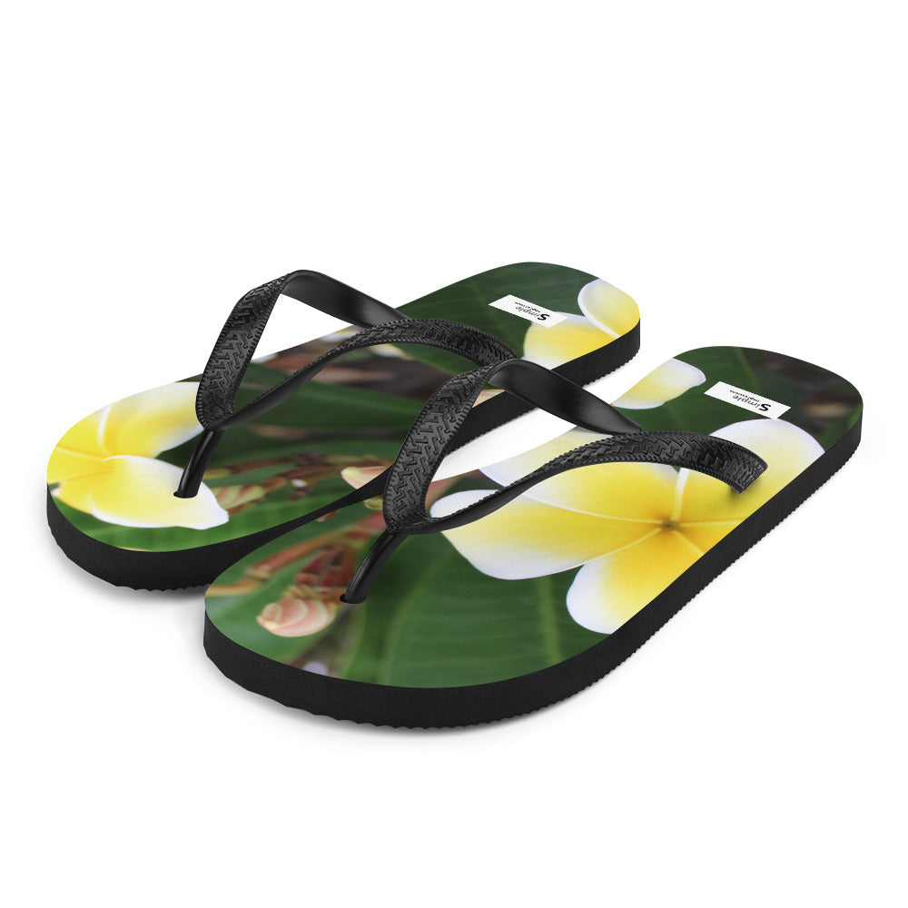 Flip-Flops