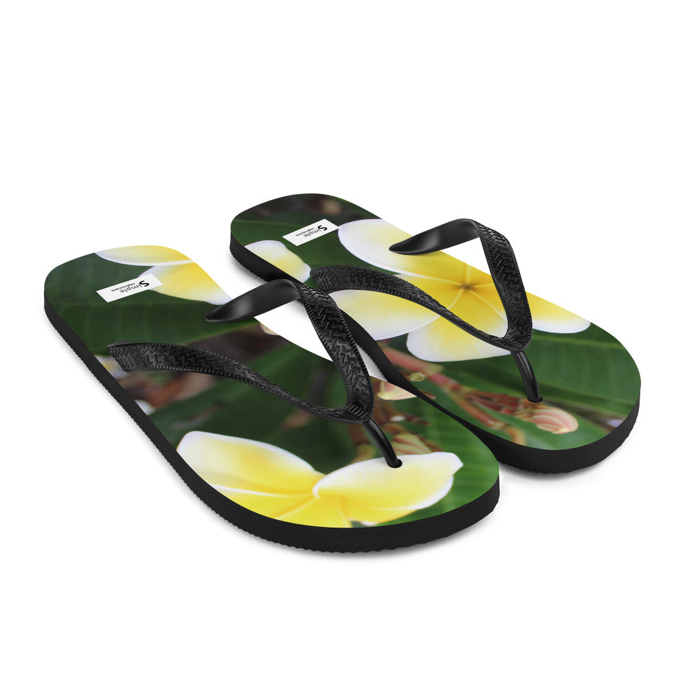 Flip-Flops