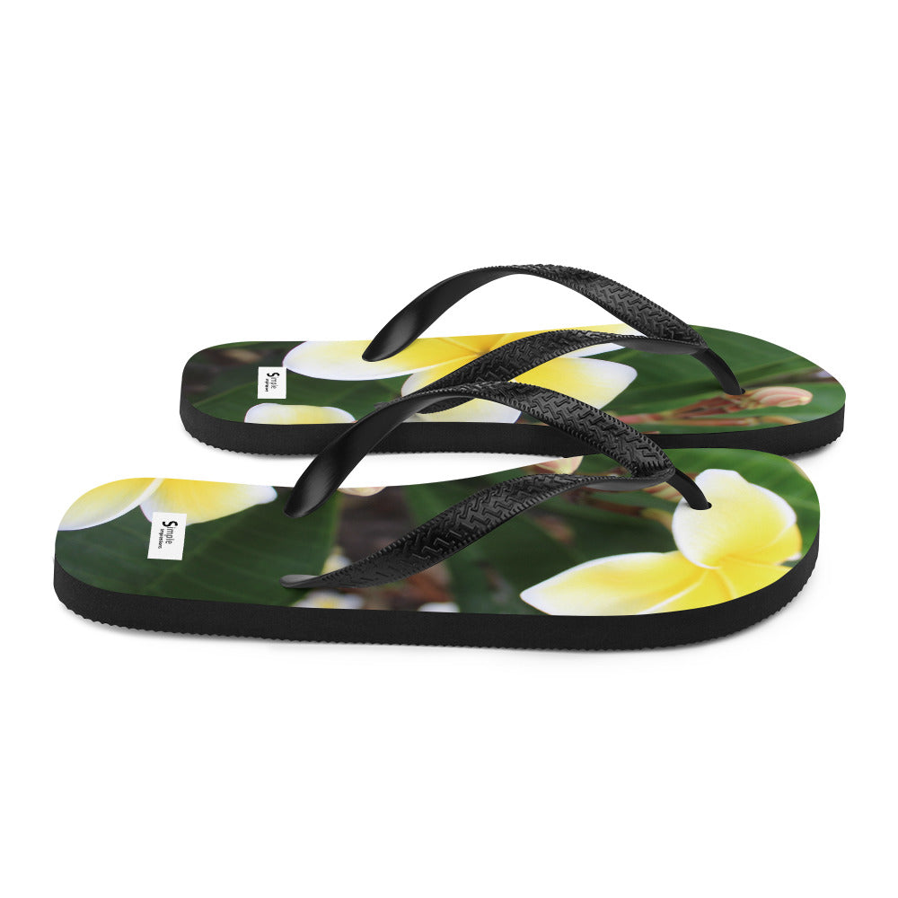 Flip-Flops